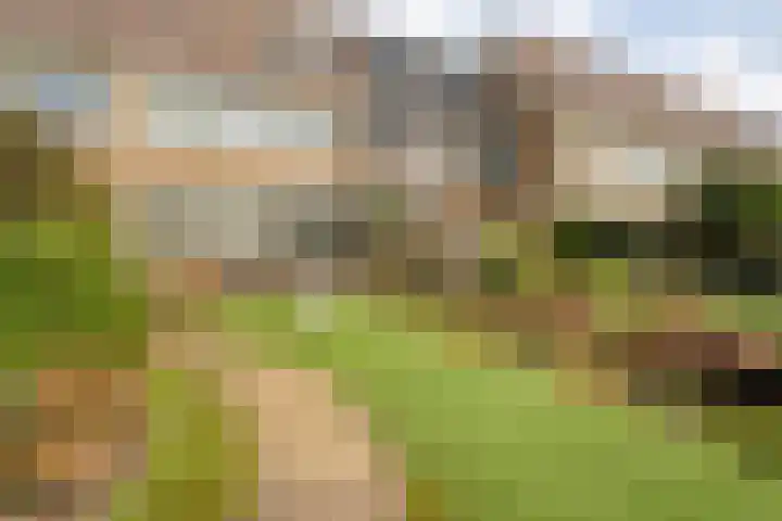 Waardeel 78 Steenwijk thumbnail 25