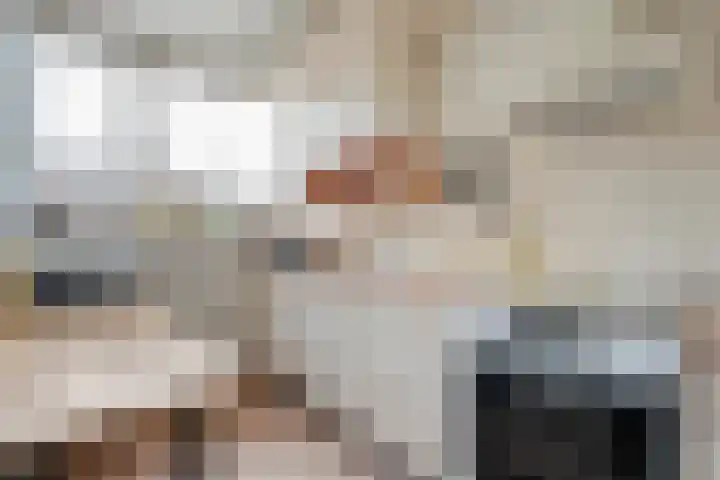 Waardeel 78 Steenwijk thumbnail 8