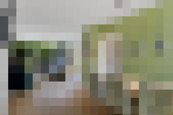 Waardeel 96 Steenwijk thumbnail 10