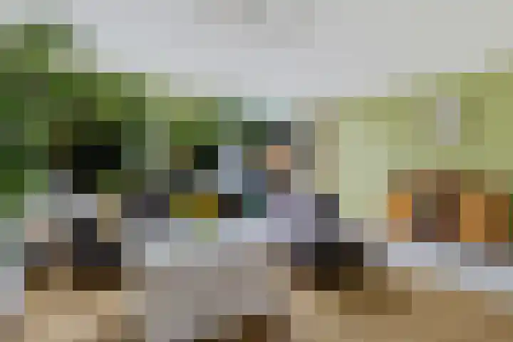 Waardeel 96 Steenwijk thumbnail 12