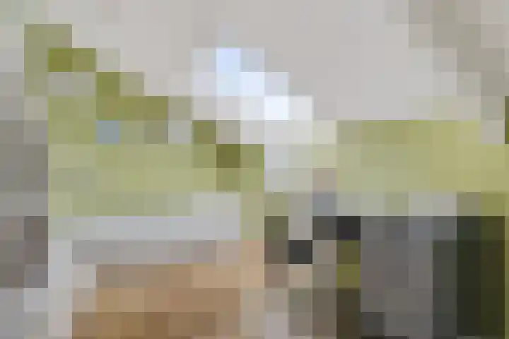 Waardeel 96 Steenwijk thumbnail 27