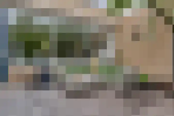 Waardeel 96 Steenwijk thumbnail 32
