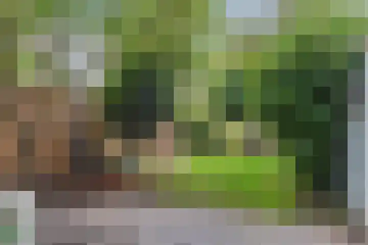 Waardeel 96 Steenwijk thumbnail 33