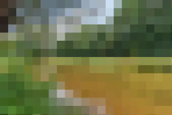 Waardeel 96 Steenwijk thumbnail 35