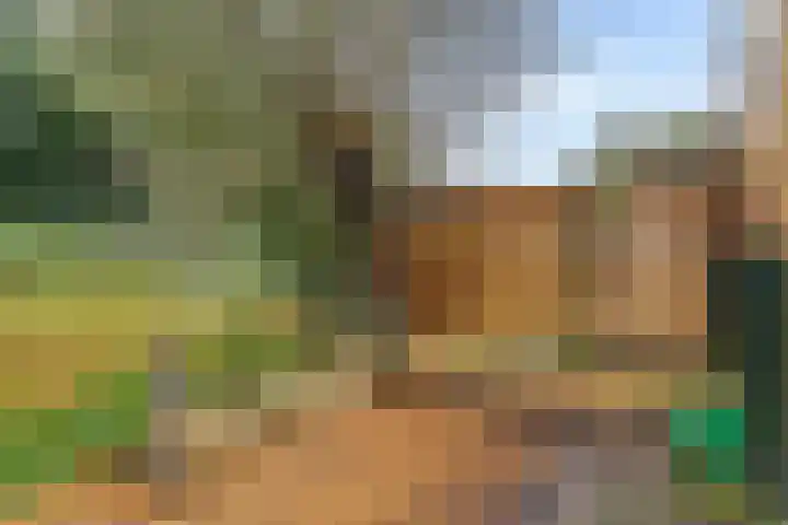 Waardeel 96 Steenwijk thumbnail 36
