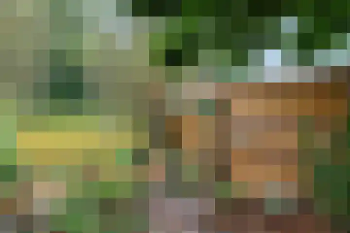 Waardeel 96 Steenwijk thumbnail 37