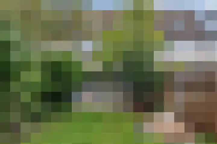Waardeel 96 Steenwijk thumbnail 38