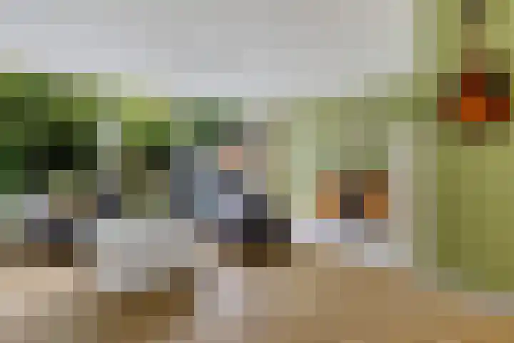 Waardeel 96 Steenwijk thumbnail 4
