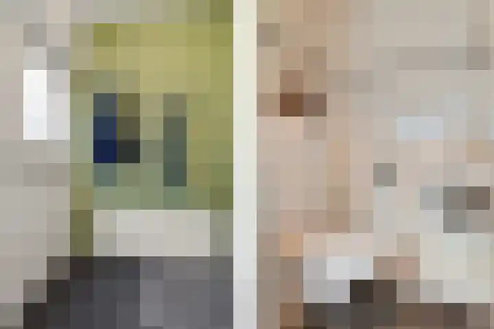 Waardeel 96 Steenwijk thumbnail 5