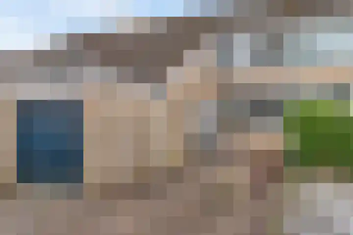 Waardeel 96 Steenwijk thumbnail 6