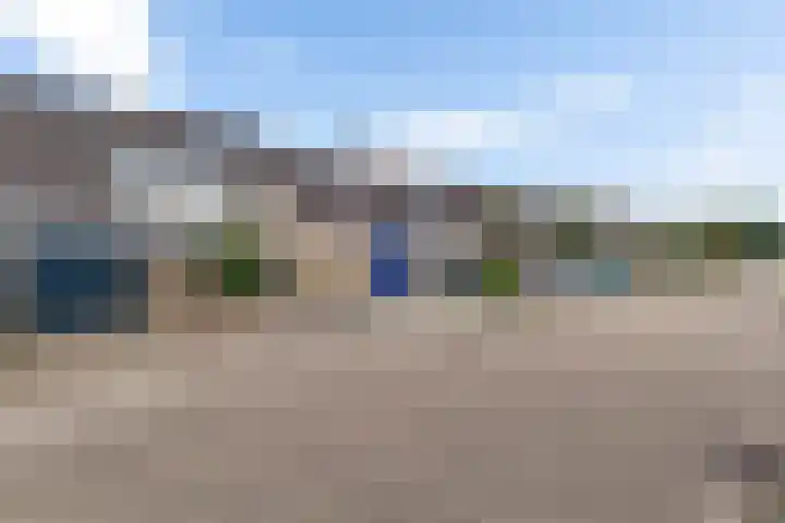 Waardeel 96 Steenwijk thumbnail 7