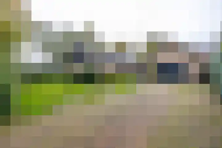 Waardeellaan 31 Gieten