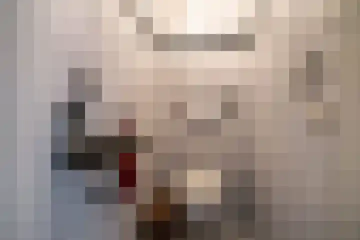 Waardeellaan 31 Gieten thumbnail 16