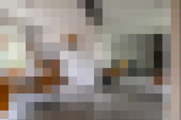 Waardeellaan 31 Gieten thumbnail 17