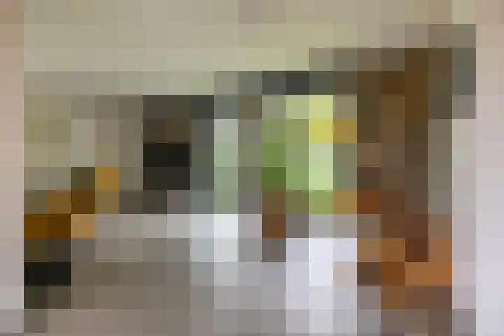Waardeellaan 31 Gieten thumbnail 18