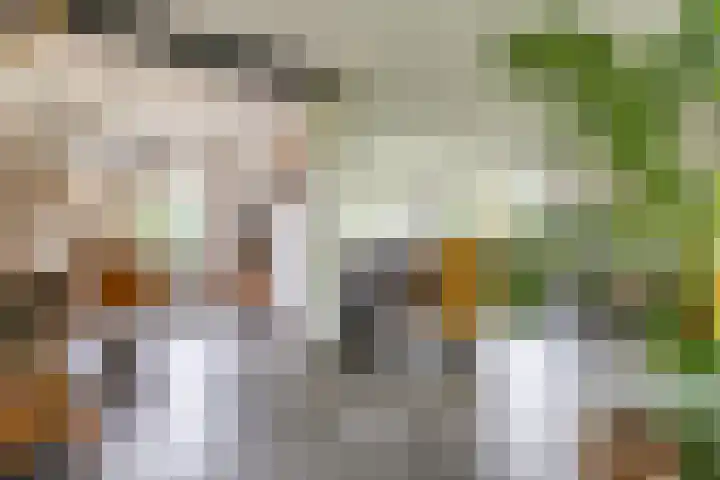 Waardeellaan 31 Gieten thumbnail 19