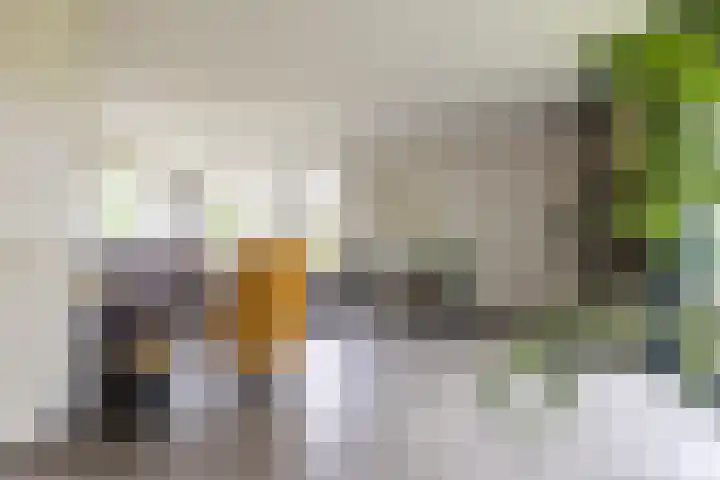 Waardeellaan 31 Gieten thumbnail 20