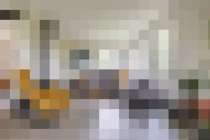 Waardeellaan 31 Gieten thumbnail 21