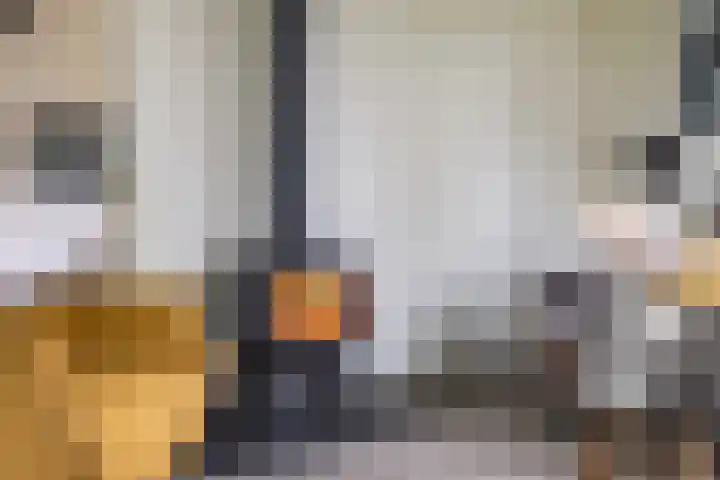 Waardeellaan 31 Gieten thumbnail 22