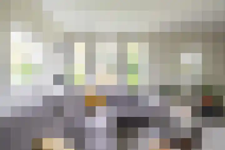 Waardeellaan 31 Gieten thumbnail 24