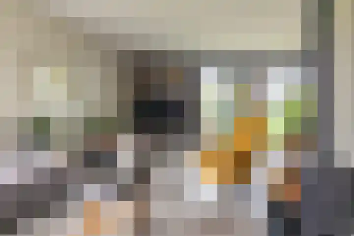 Waardeellaan 31 Gieten thumbnail 25