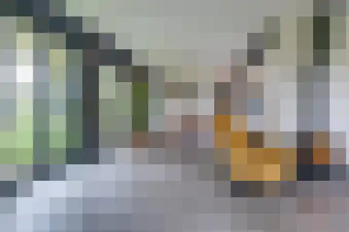Waardeellaan 31 Gieten thumbnail 26