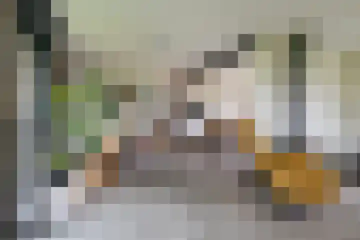 Waardeellaan 31 Gieten thumbnail 27