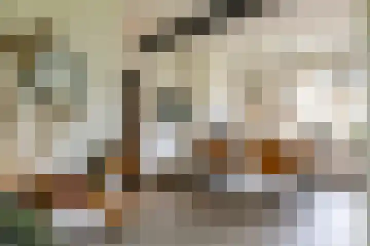 Waardeellaan 31 Gieten thumbnail 28