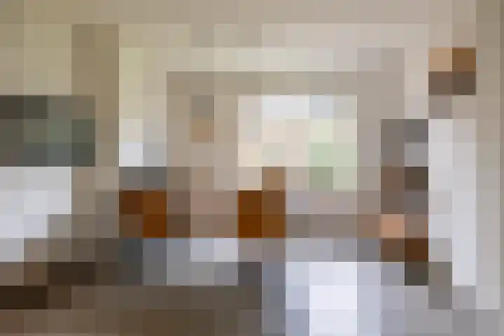 Waardeellaan 31 Gieten thumbnail 29