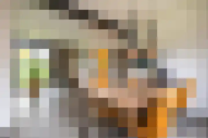 Waardeellaan 31 Gieten thumbnail 30