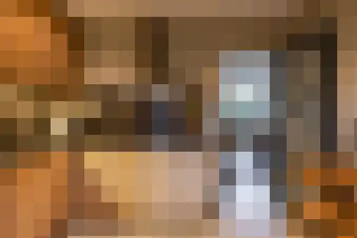 Waardeellaan 31 Gieten thumbnail 35