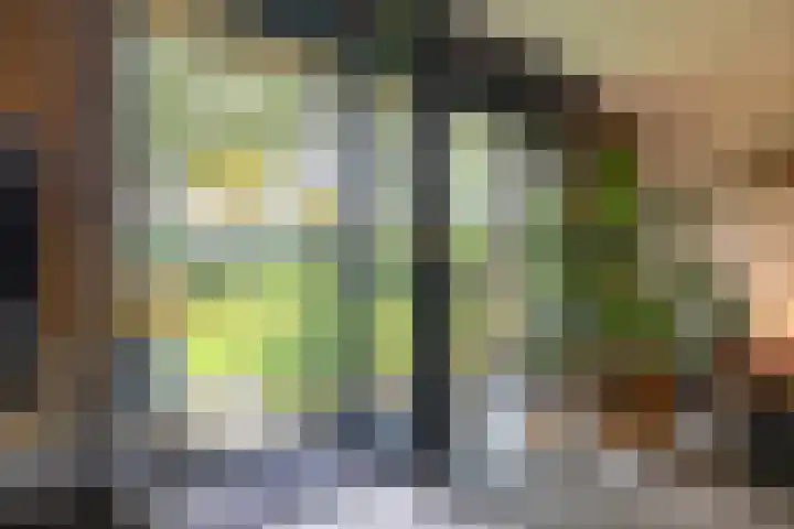 Waardeellaan 31 Gieten thumbnail 36