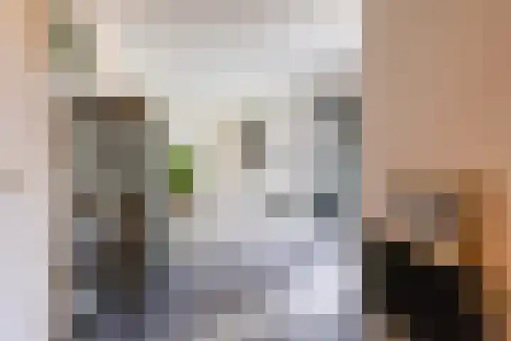 Waardeellaan 31 Gieten thumbnail 37