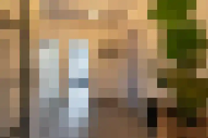 Waardeellaan 31 Gieten thumbnail 39