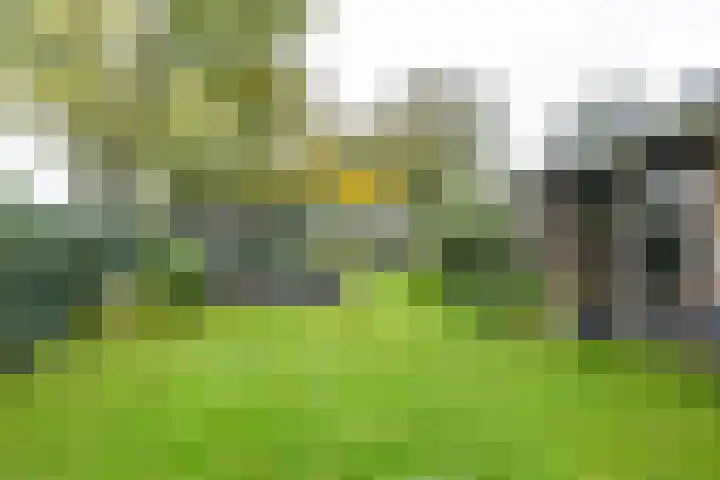 Waardeellaan 31 Gieten thumbnail 4
