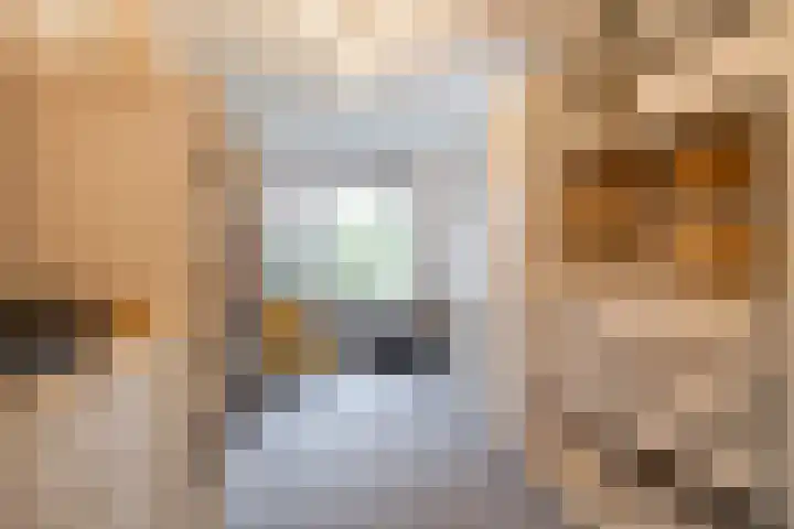 Waardeellaan 31 Gieten thumbnail 44