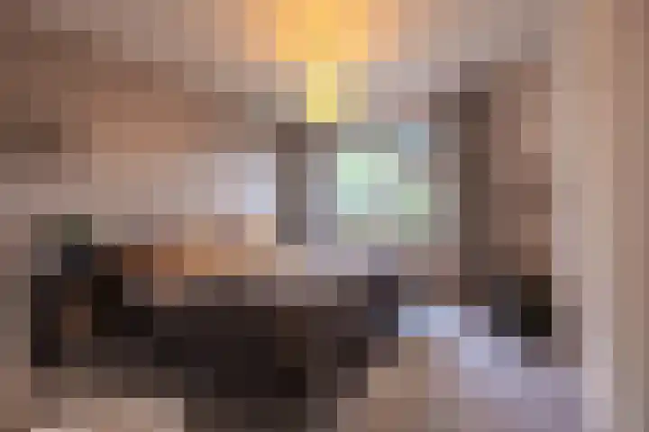 Waardeellaan 31 Gieten thumbnail 46