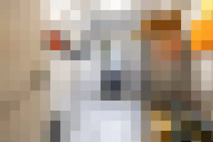 Waardeellaan 31 Gieten thumbnail 52