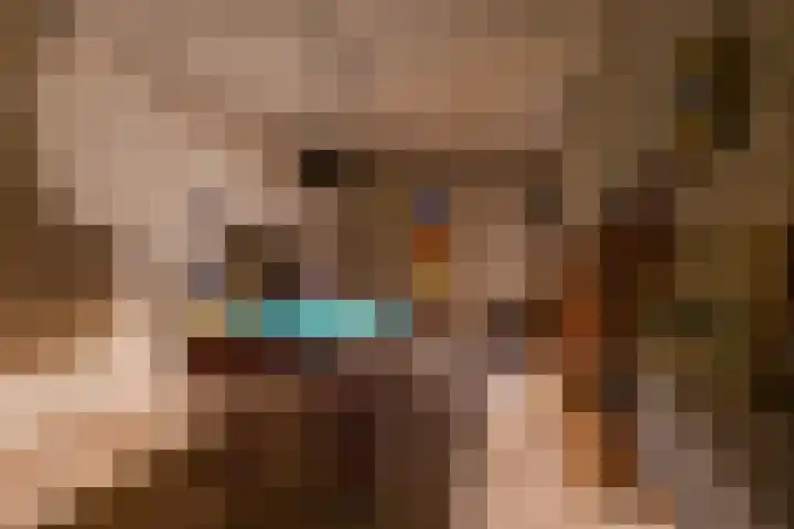 Waardeellaan 31 Gieten thumbnail 56