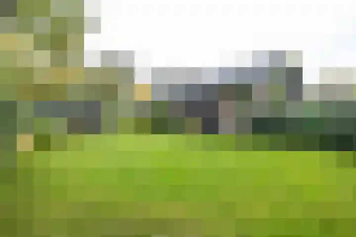 Waardeellaan 31 Gieten thumbnail 65
