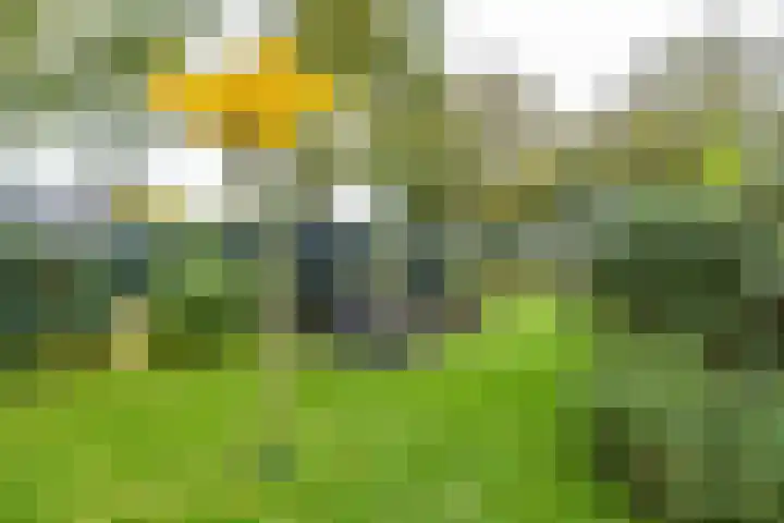 Waardeellaan 31 Gieten thumbnail 66