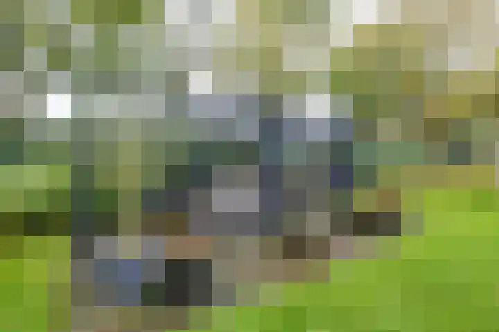 Waardeellaan 31 Gieten thumbnail 67