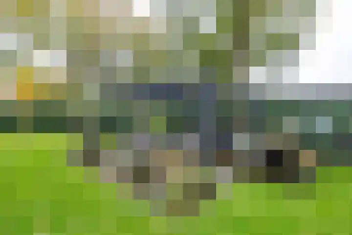 Waardeellaan 31 Gieten thumbnail 68