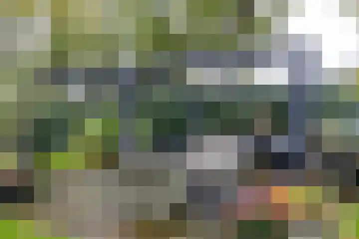 Waardeellaan 31 Gieten thumbnail 69