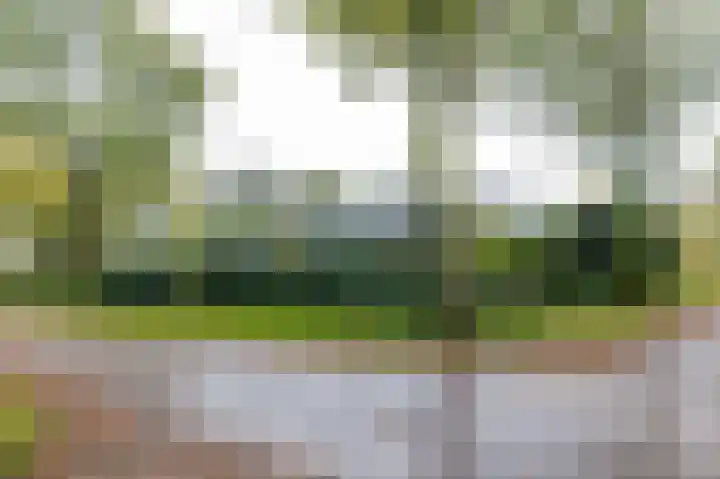 Waardeellaan 31 Gieten thumbnail 7