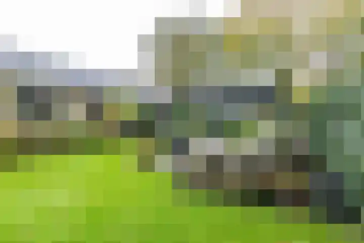 Waardeellaan 31 Gieten thumbnail 70