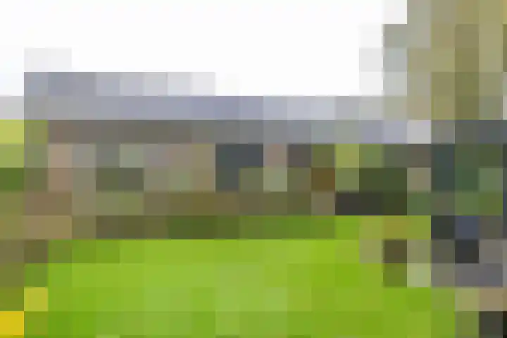 Waardeellaan 31 Gieten thumbnail 71