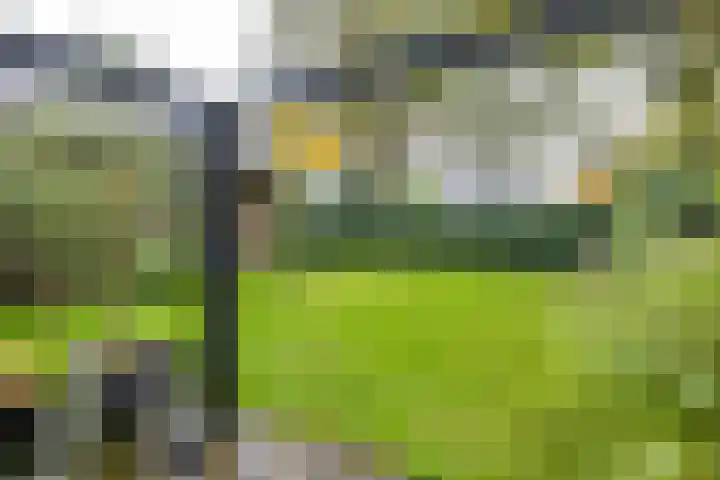 Waardeellaan 31 Gieten thumbnail 72