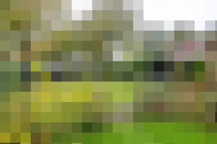 Waardeellaan 31 Gieten thumbnail 73
