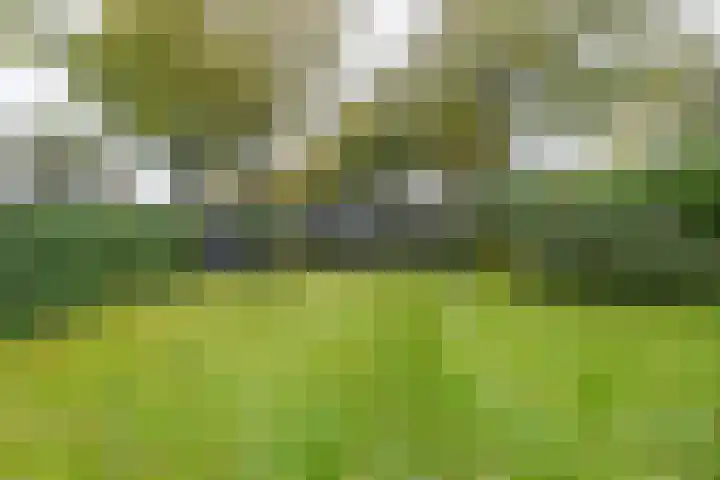 Waardeellaan 31 Gieten thumbnail 74